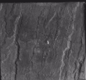 CTY CP BÊ TÔNG TÍNH NĂNG CAO BÌNH DƯƠNG